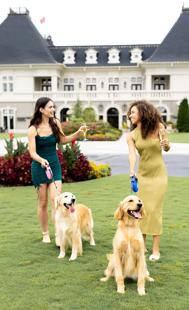 Curious for more connect with us