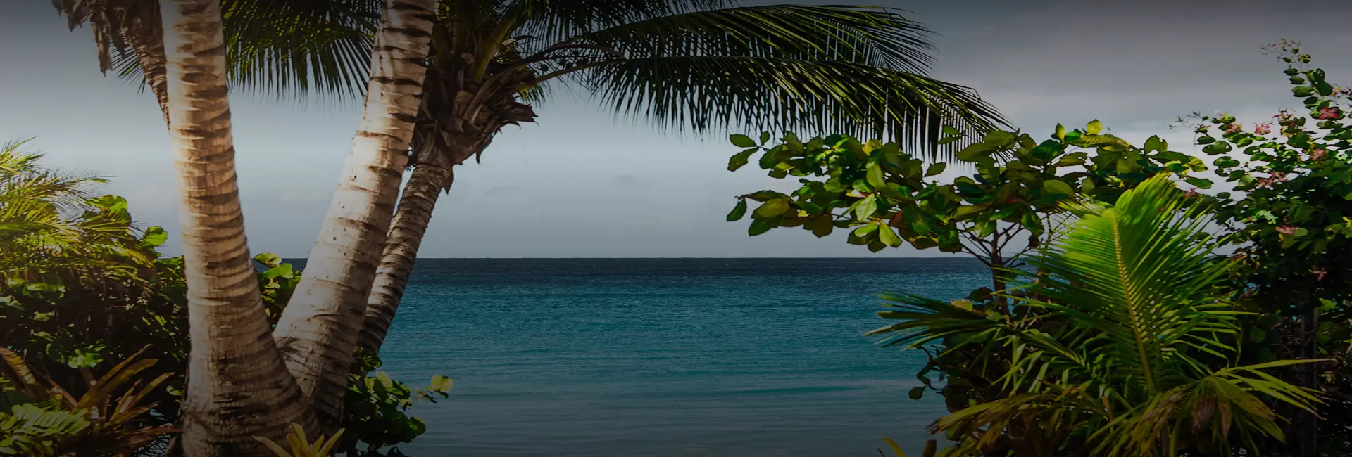 Insights inspiration