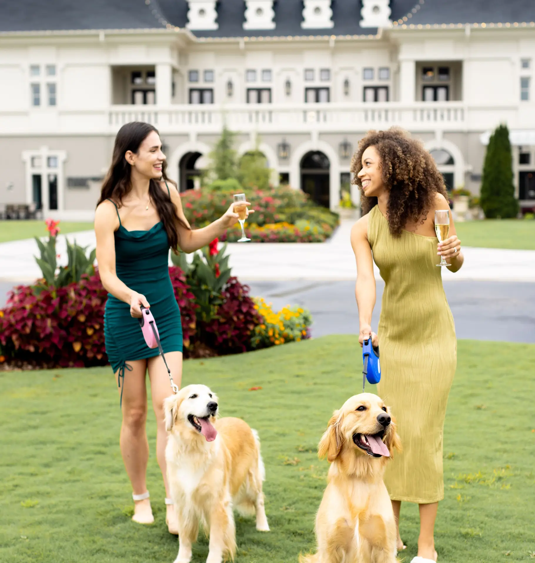 Your journey simplified and rewarded.